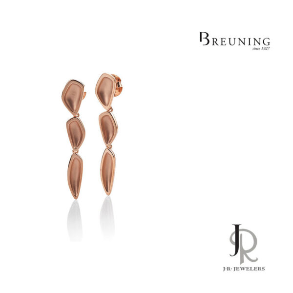 Breuning Silver Earrings 14/02632
