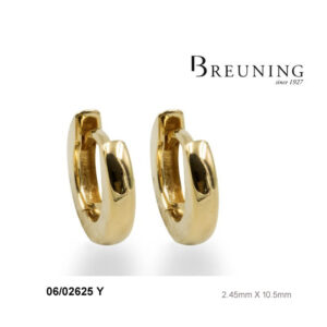 Breuning Gold Earrings 06/02625
