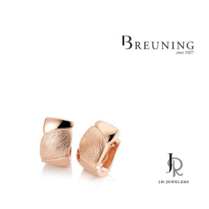 Breuning Silver Earrings 06/60913