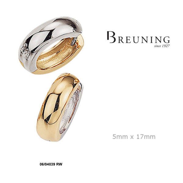 Breuning Reversible Earrings 06/04039 RW
